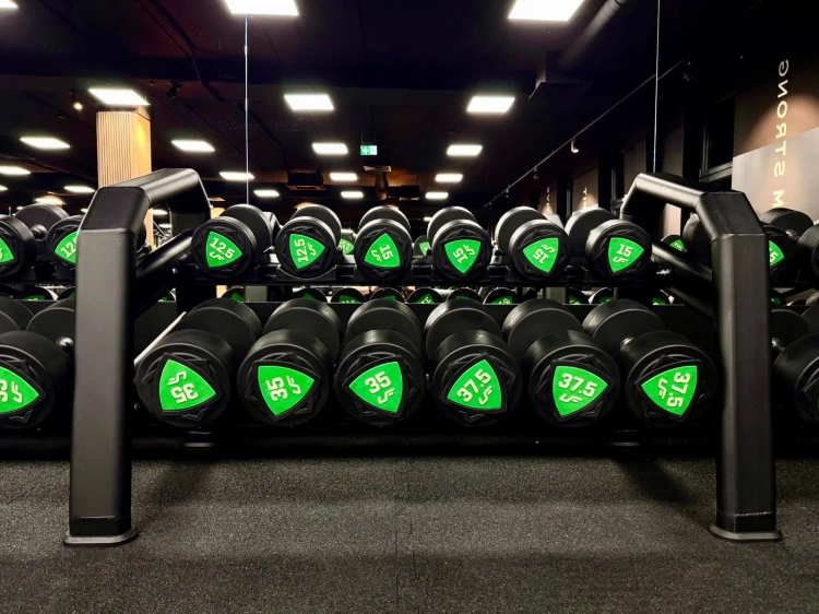 Stojak z ogumieniem na hantle (15 par) UR-S003-3 - UpForm