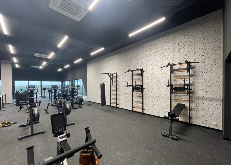 Wielofunkcyjna drabinka gimnastyczna BenchK 733B