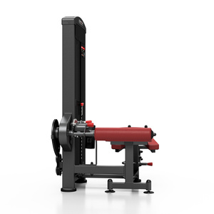 Maszyna na mięśnie dwugłowe ud MP-U235 - Marbo Sport