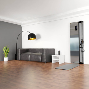 Brama przyścienna treningowa pneumatyczna BS301 - HMS