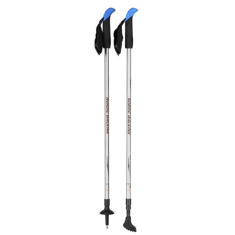 Kije Nordic Walking NW 602 - Nils