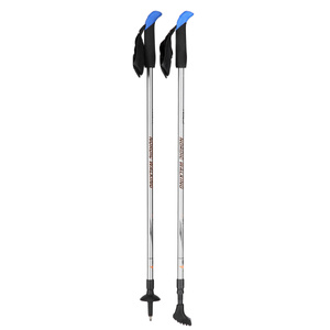 Kije Nordic Walking NW 602 - Nils
