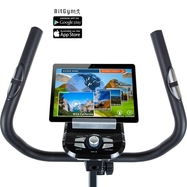 Rower treningowy CARDIO T3 - Hammer