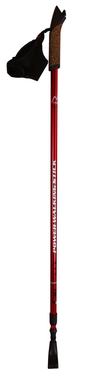 Kije do Nordic Walking Nils NW 607